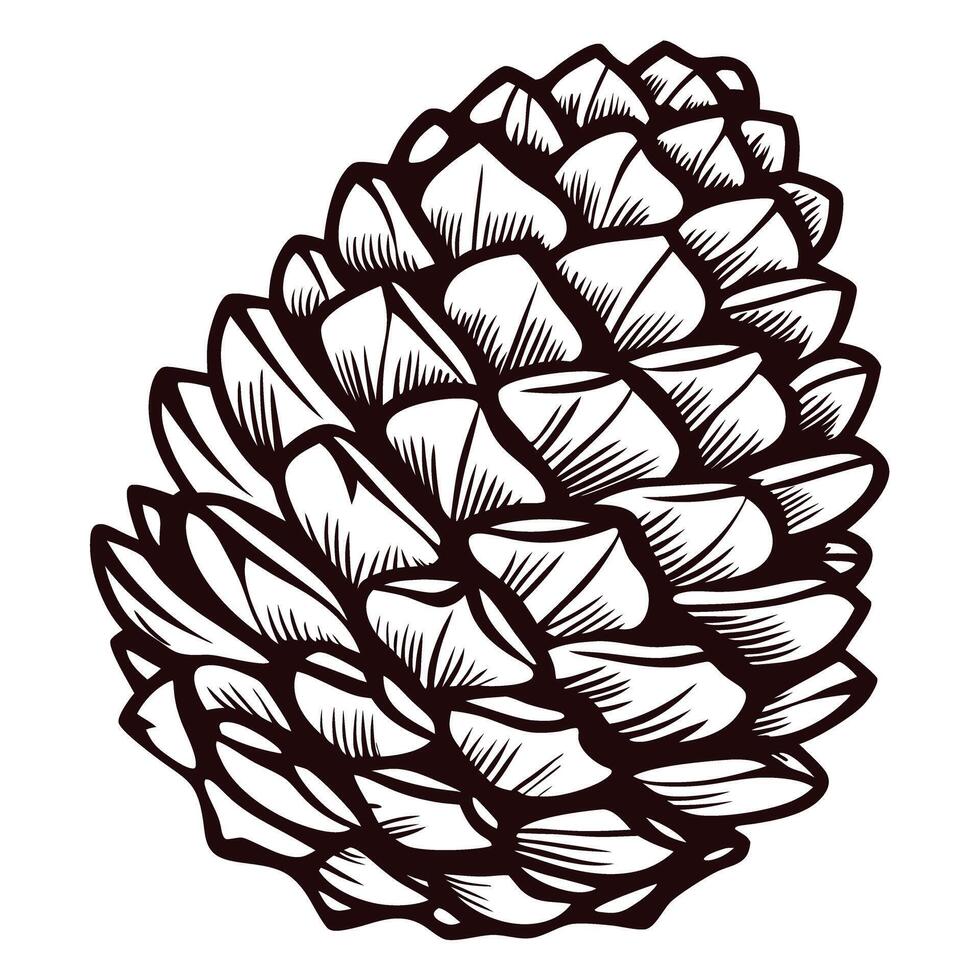Detailed black and white pinecone with intricate patterns vector