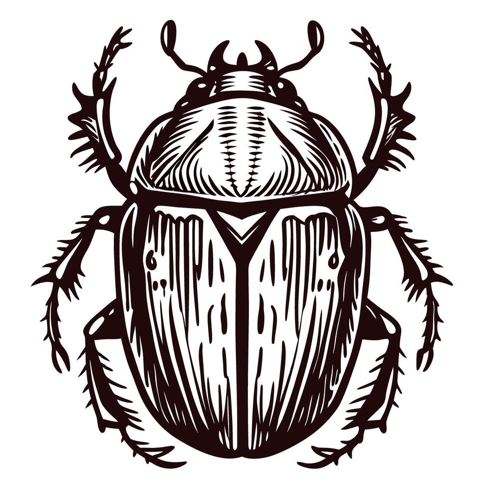 Detailed of a beetle with intricate patterns and texture vector