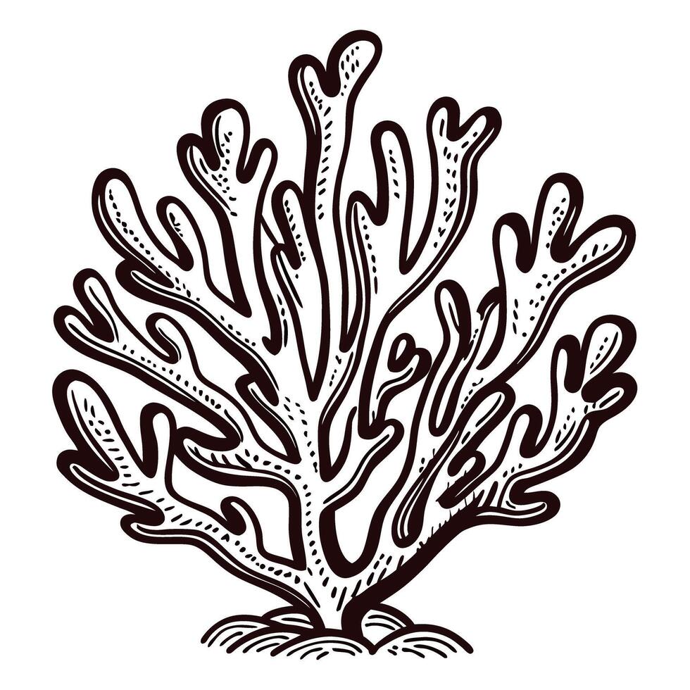 Detailed black and white of marine coral on white background vector