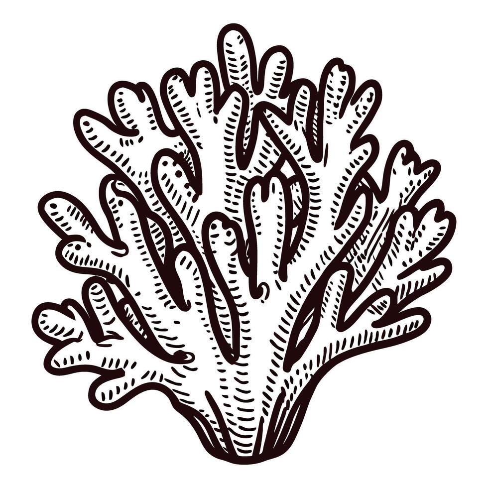 Detailed of coral reef structure with intricate patterns vector