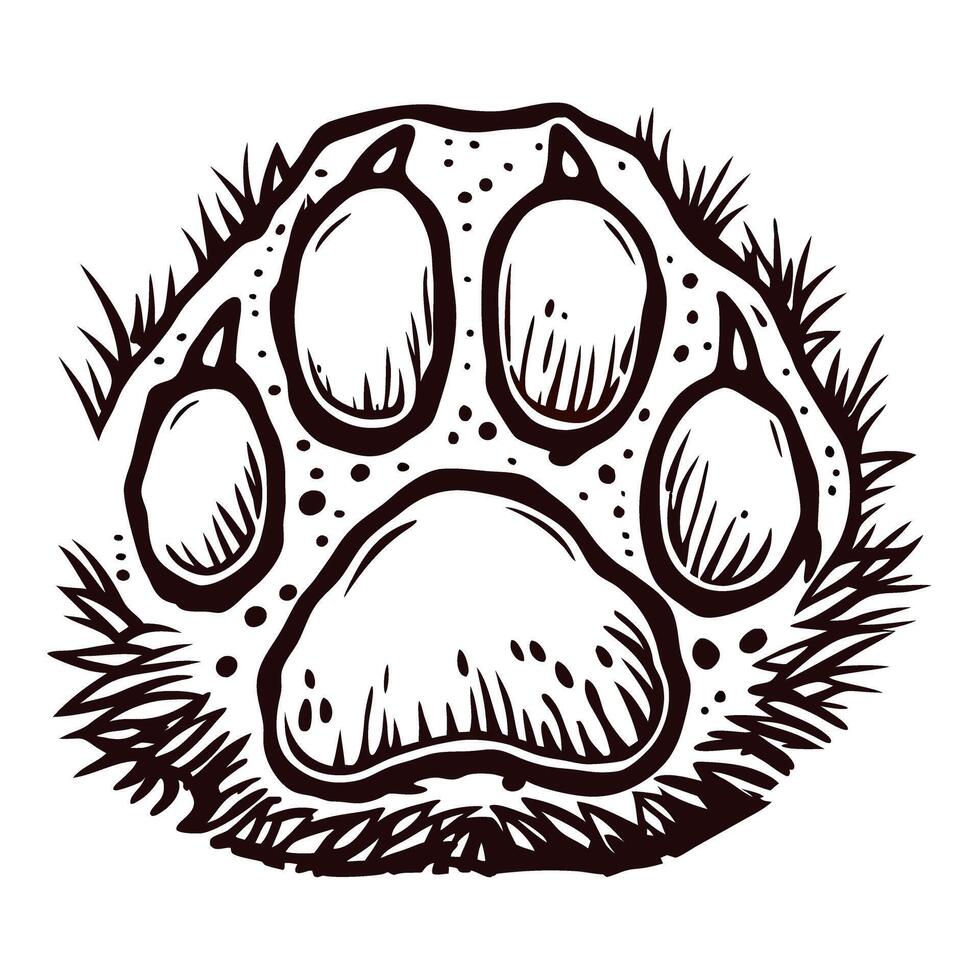 Detailed bear paw print with claw marks and fur texture vector