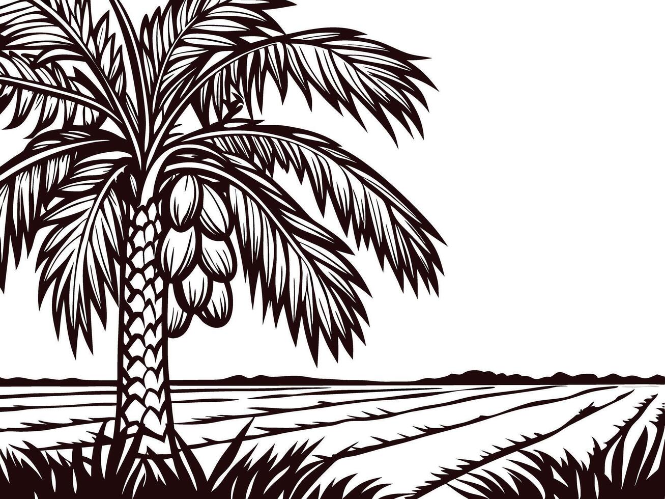 Detailed palm tree and coconut fruit in tropical landscape with vast open fields vector