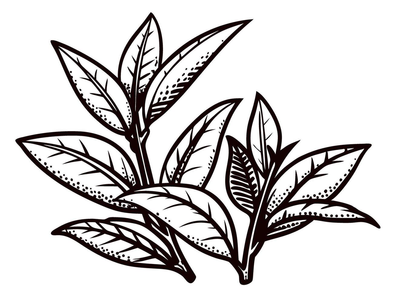 Detailed black and white of tea leaves with intricate patterns vector