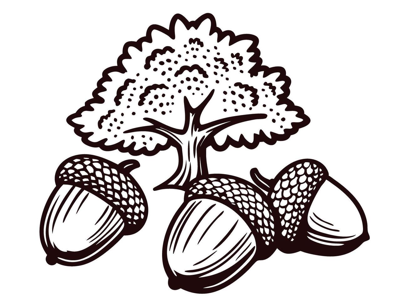 of oak tree with acorns in black and white vector
