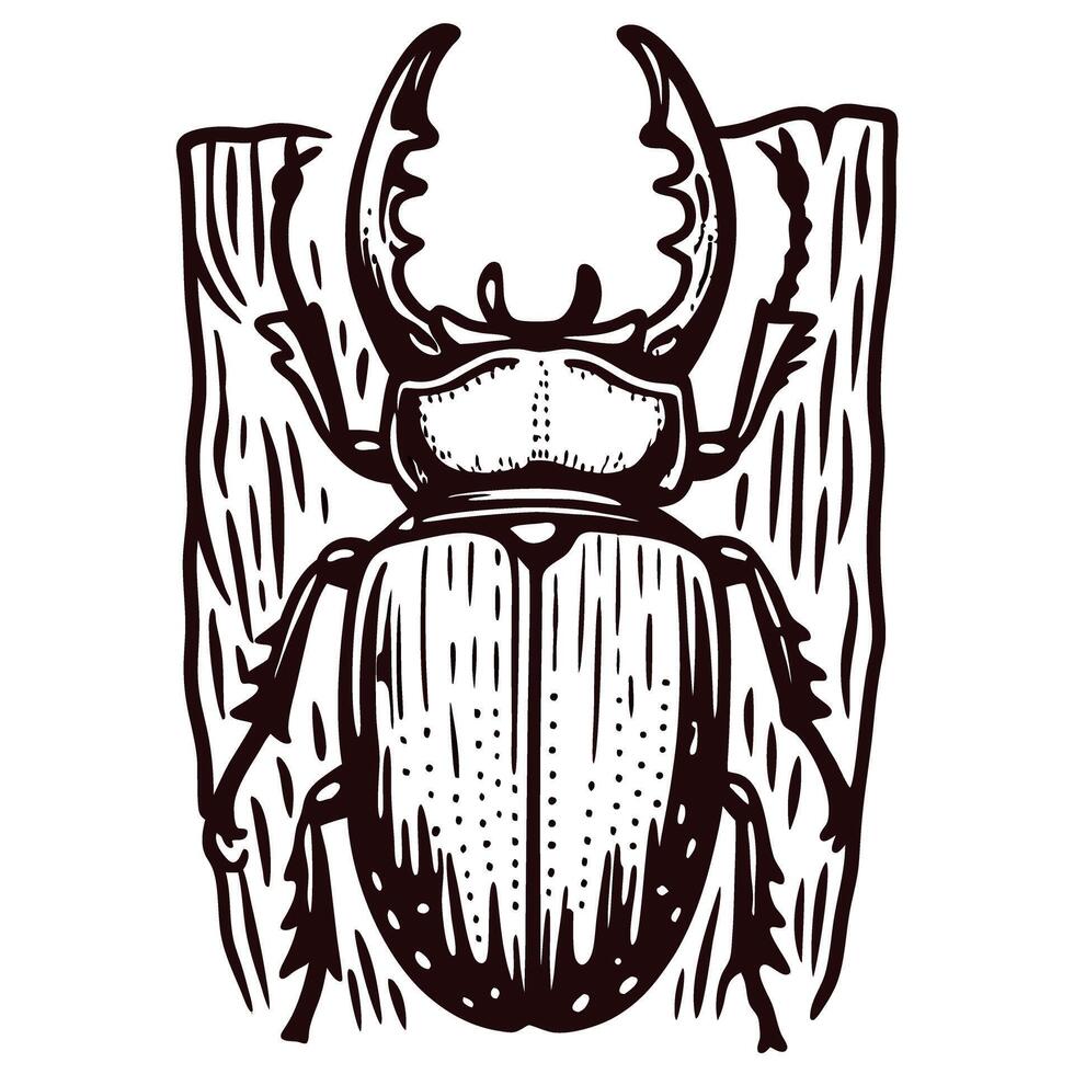 Stag beetle on textured wood background vector