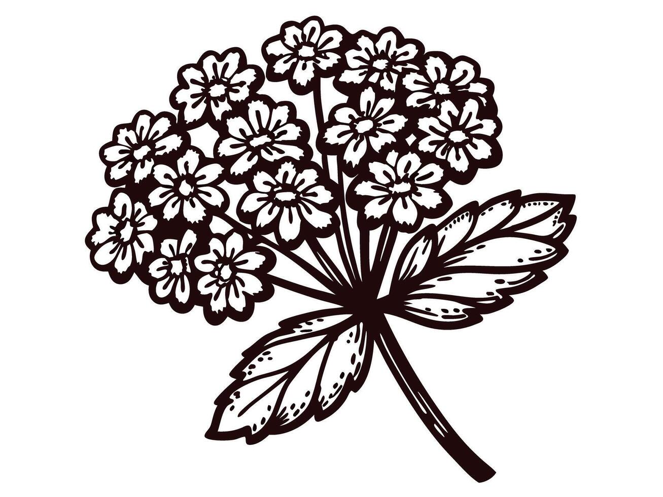 Black and white botanical of floral cluster with leaves vector