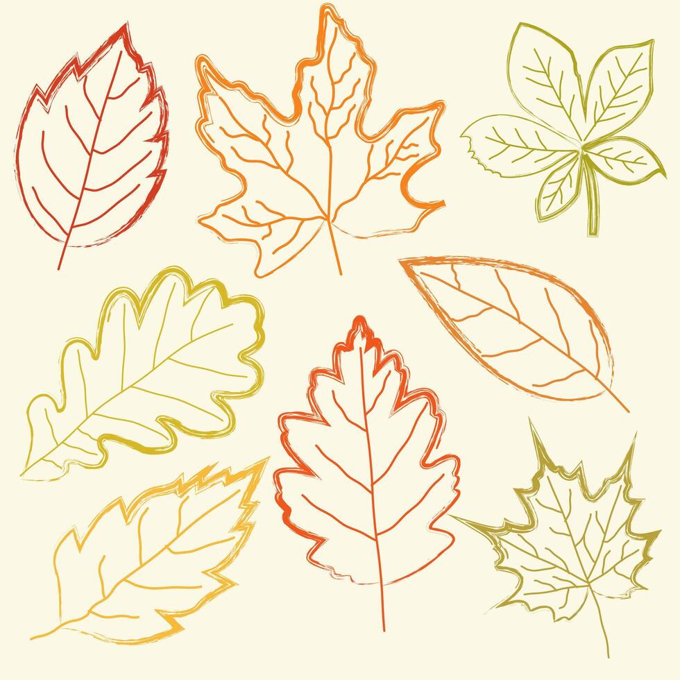 Collection of hand drawn autumn leaves vector