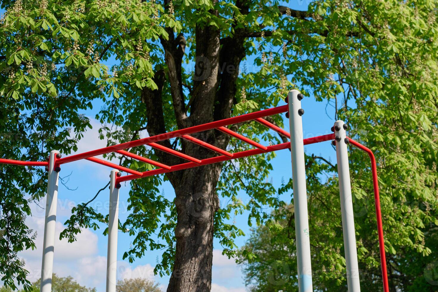 Outdoor monkey bars in park with green trees photo