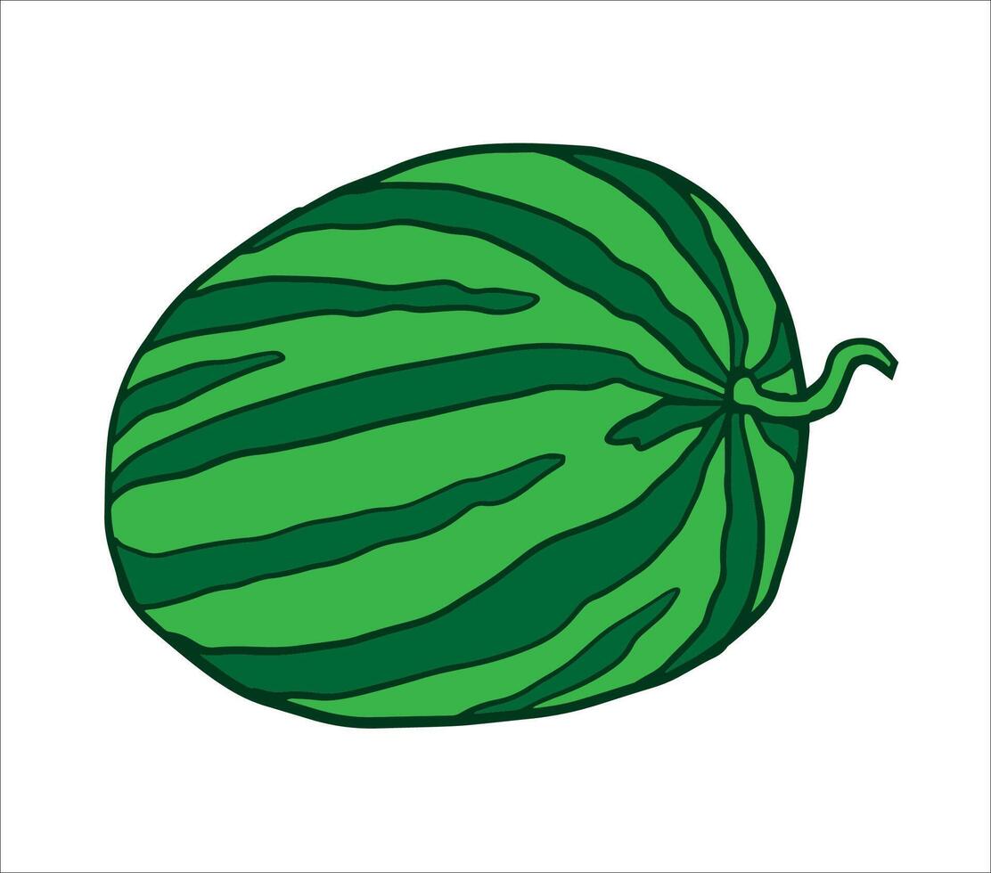 watermelon illustration with a whole green-striped melon. Ideal for menu art, packaging labels, summer banners, social media graphics vector