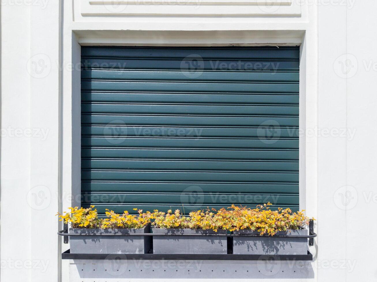 Green Shuttered Window with Flower Box on White Wall photo