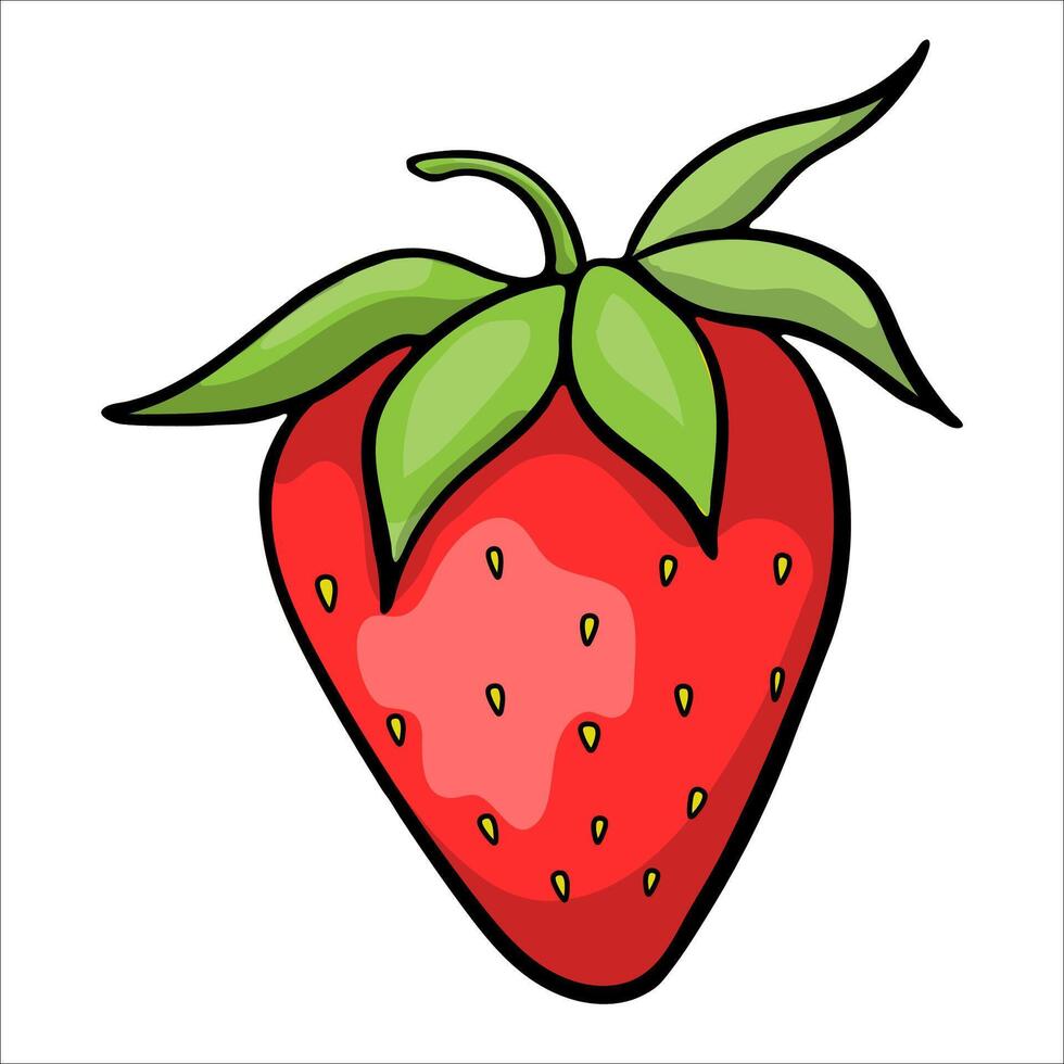 Red Ripe Drawn Strawberry On White Background vector