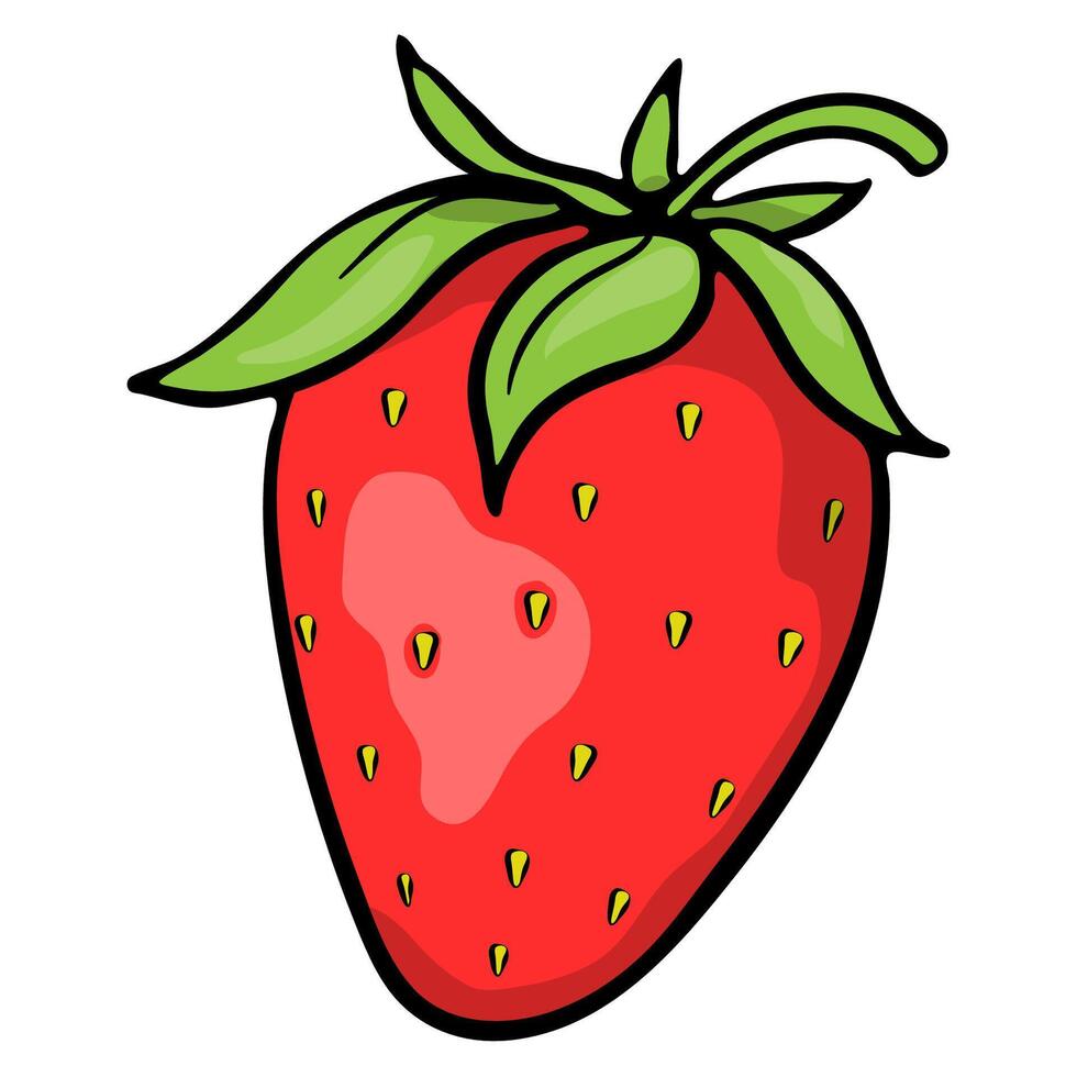 Colorful Hand Drawn Strawberry vector