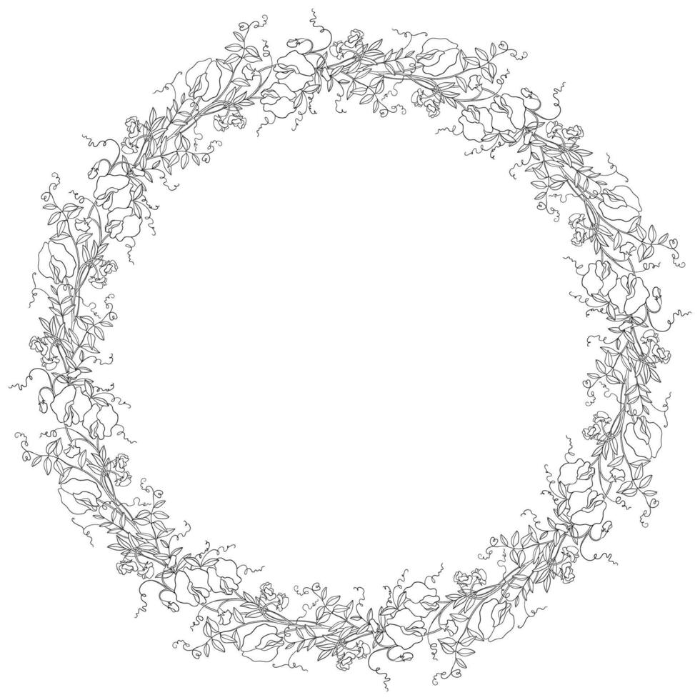 Linear Illustration Of Monochrome Round Wreath With Sweet Pea Flowers vector