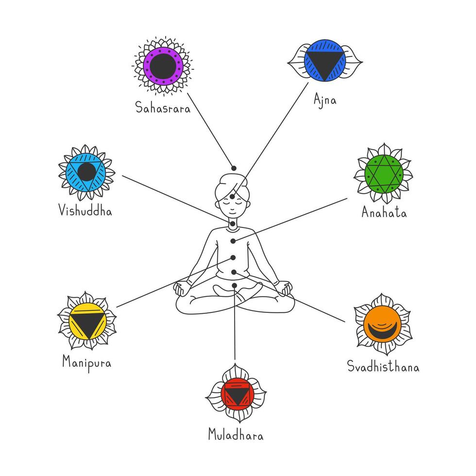 Human sitting in Lotus Position with Chakras Symbols vector