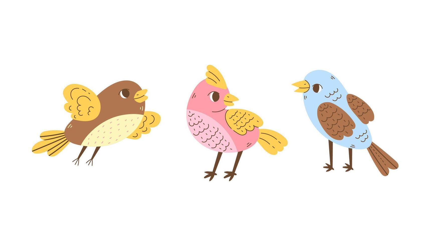 Colorful Birds Set vector