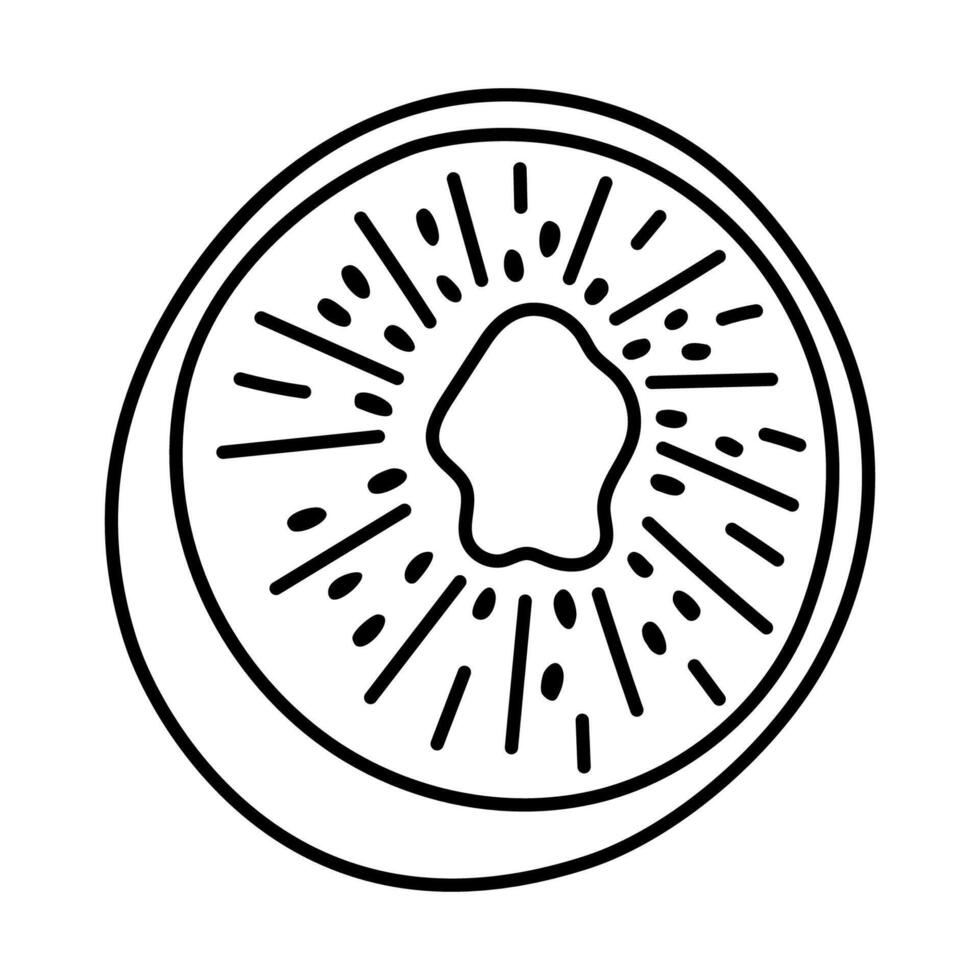 Lovely sketch half of kiwi in peel with seeds. Cute tropical ripe fruit full of vitamins isolated on white background. Sliced fuzzy kiwi doodle for branding packaging, restaurant menu, logo vector