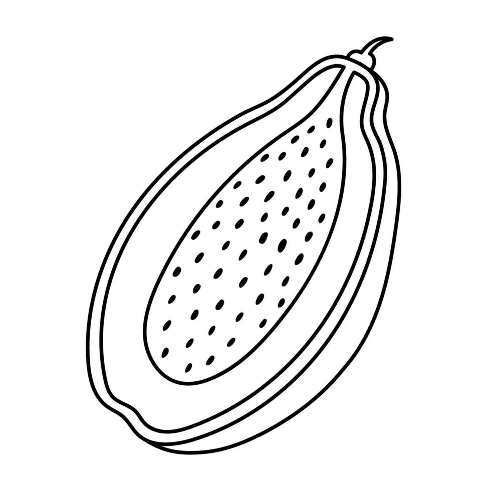 Lovely sketch tropical papaya fruit with seeds cut in half. Outline doodle of summery exotic food for greeting card, printing, social media. Cute ripe tasteful fruit isolated on white background. vector