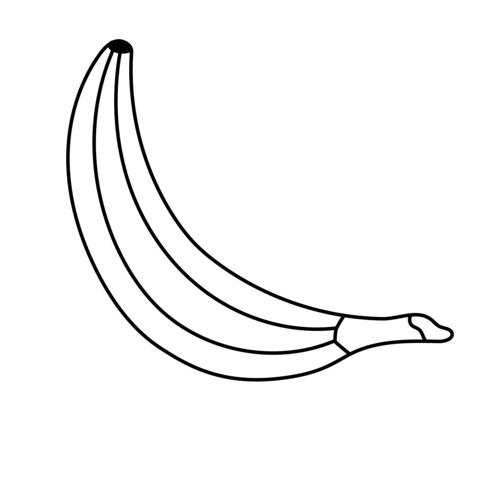 Lovely outline banana in peel in childish style. Cute simple fruit from tropics for yummy healthful snack isolated on white background. Food doodle for greeting card, design, print, poster vector