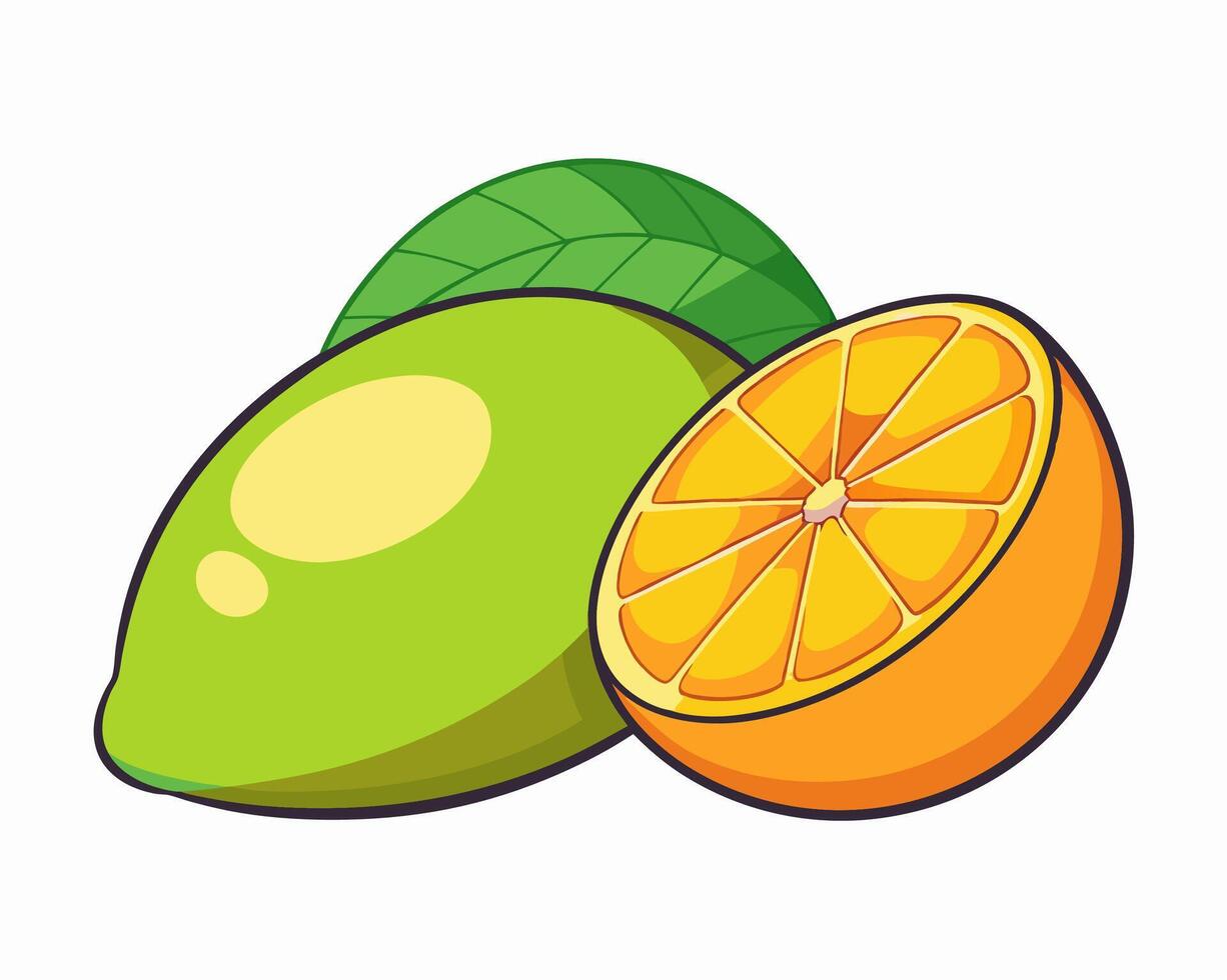 Lime and Orange Slice Illustration vector