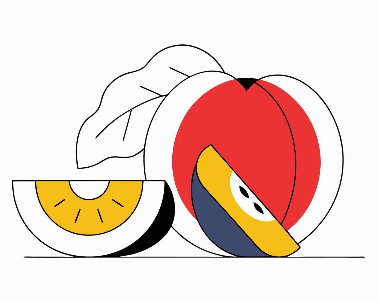 Modern Fruit Illustration Peach and Melon Slices vector