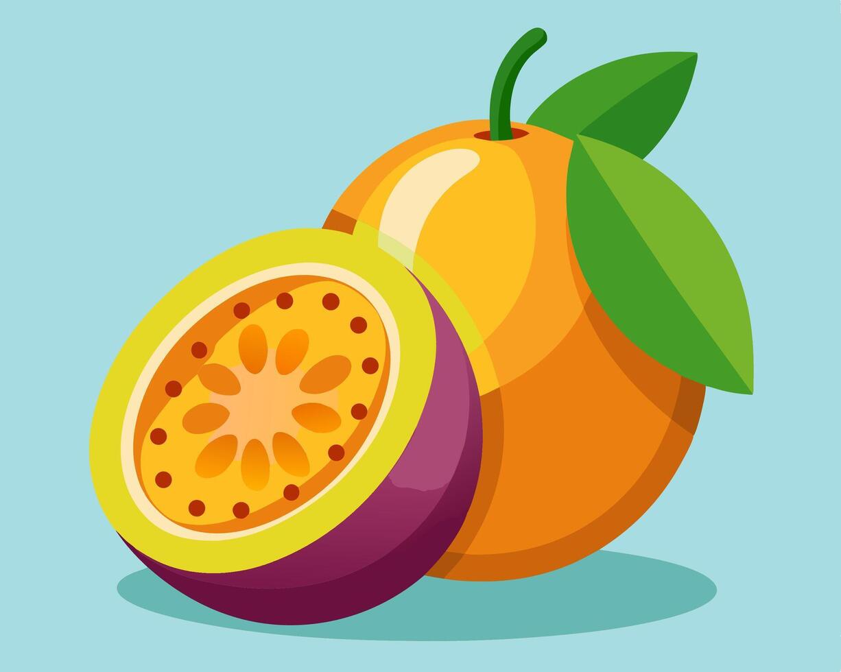 Passion Fruit and Orange Illustration vector