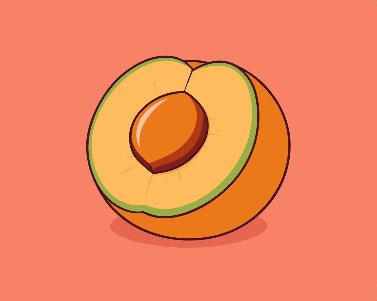Apricot Halved Illustration vector