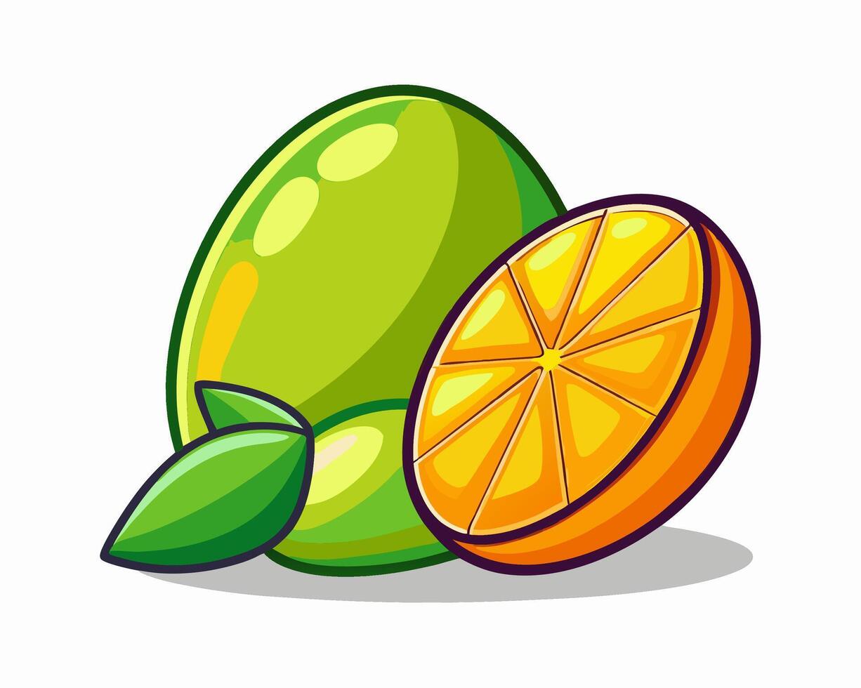 Lime and Orange Slice Cartoon Illustration vector