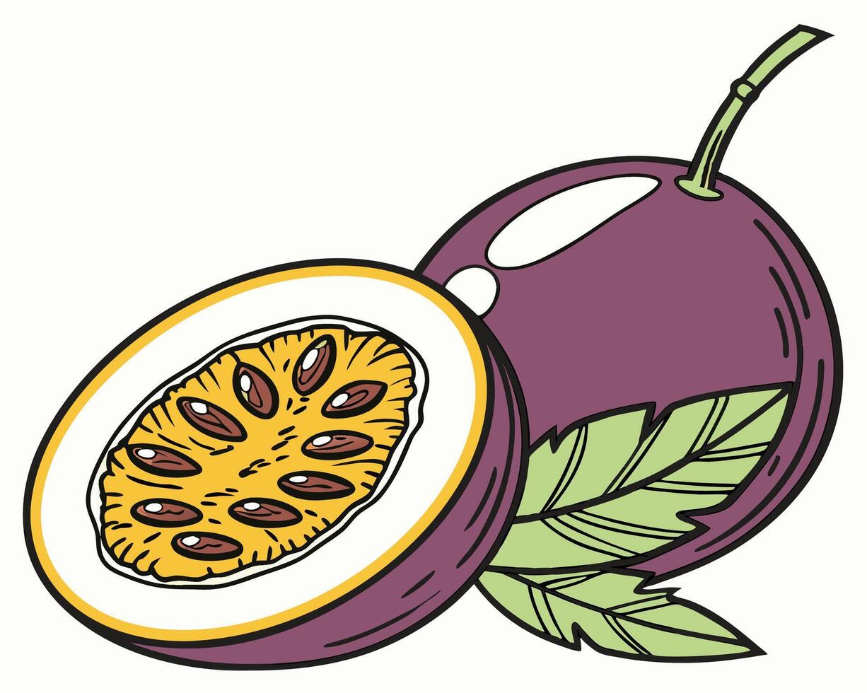 Passion Fruit Half and Whole Illustration vector