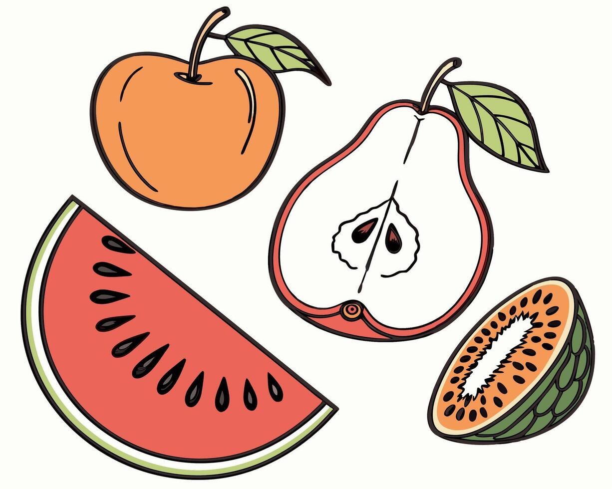 Apple, Pear, Watermelon, Kiwi Slice Illustration vector