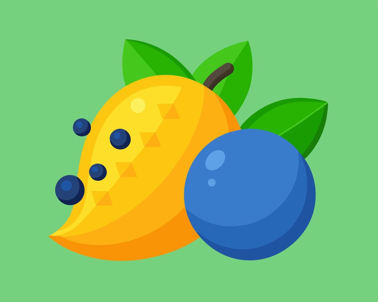 Mango and Blueberry Illustration vector