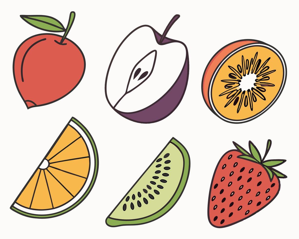 Assorted Fruit Line Art Apple, Peach, Kiwi, Orange, Watermelon, Strawberry vector