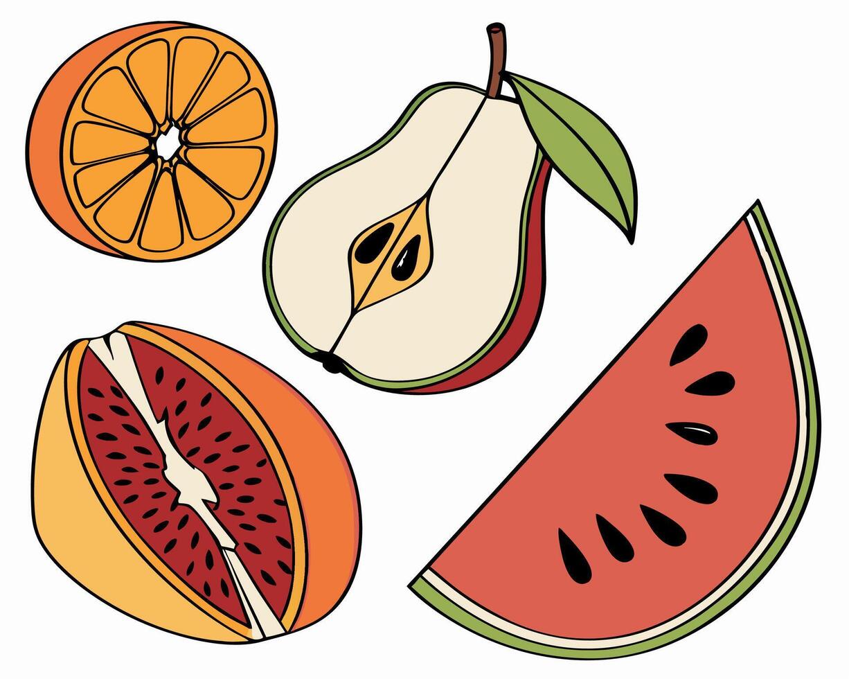 Orange, Pear, Watermelon Slices Illustration vector