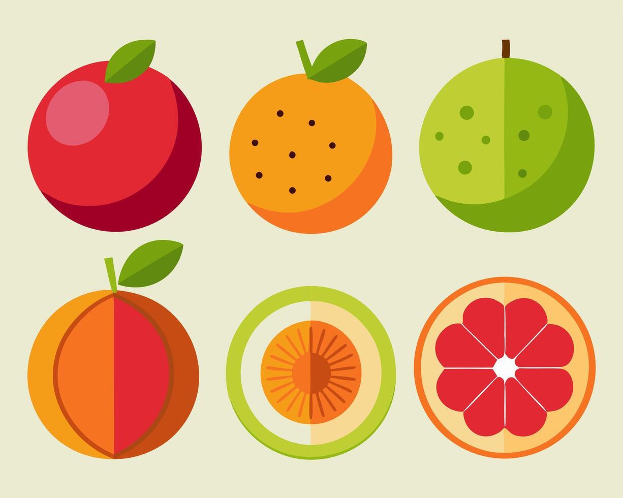 Flat Design Fruit Icons Apple, Orange, Grapefruit vector
