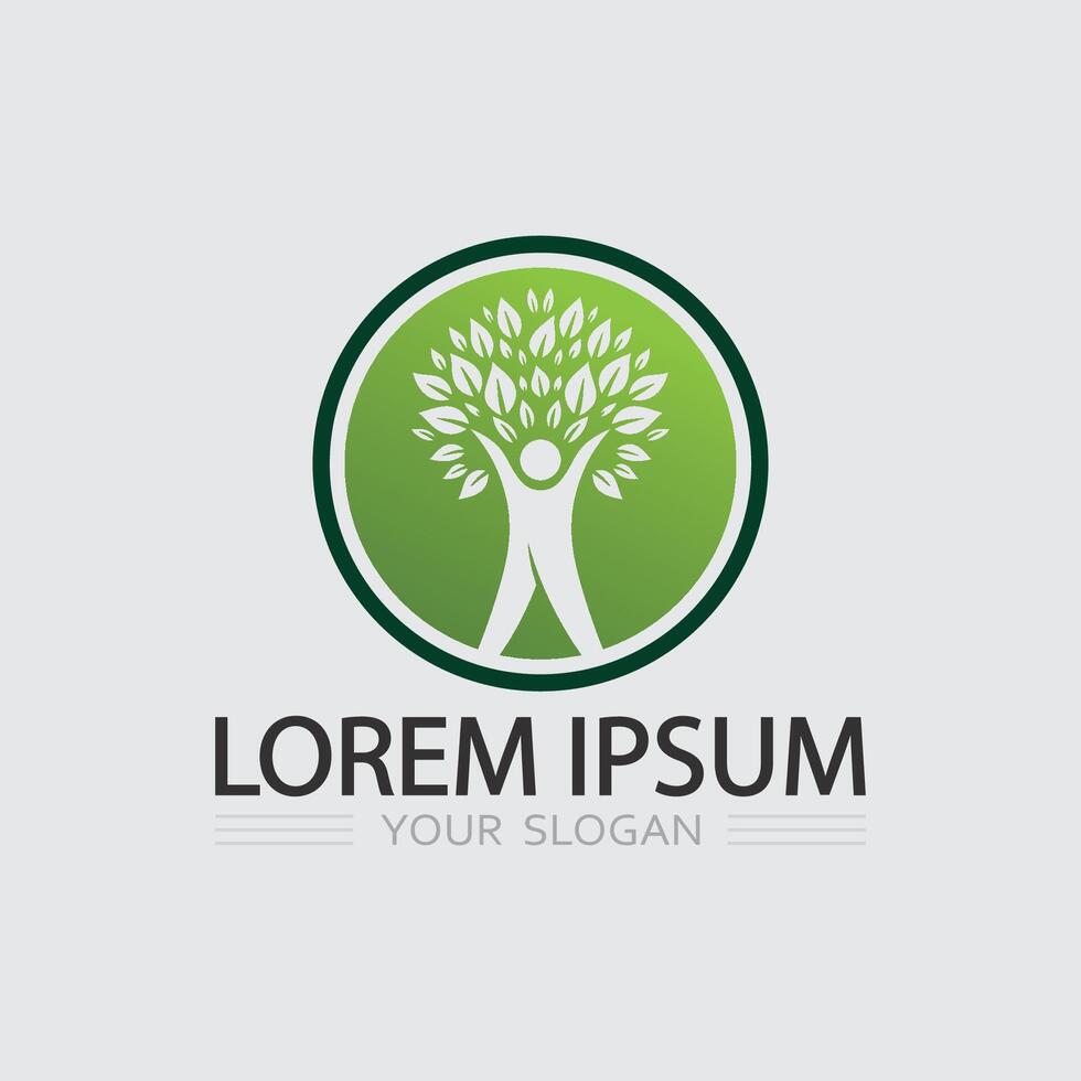Natural Tree Icon and Leaves Design for Botanical and Herbal Organic Product Company Branding vector
