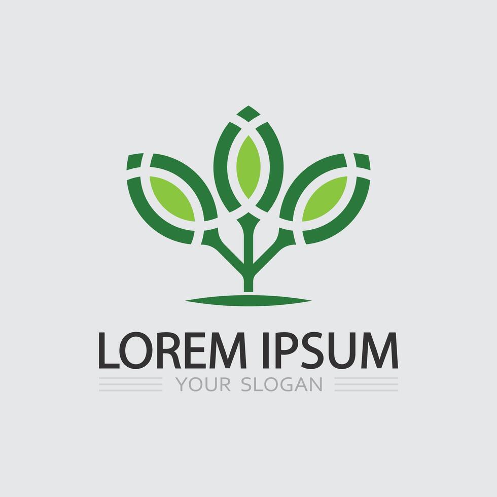 Multipurpose Business Icon Logo Collection for Entrepreneurs, Startups, and Agencies vector