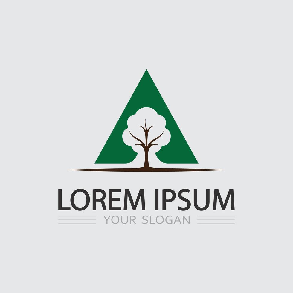 Nature Inspired Leaf Icon for Clean Energy Eco Startup and Environmental Branding Illustration vector