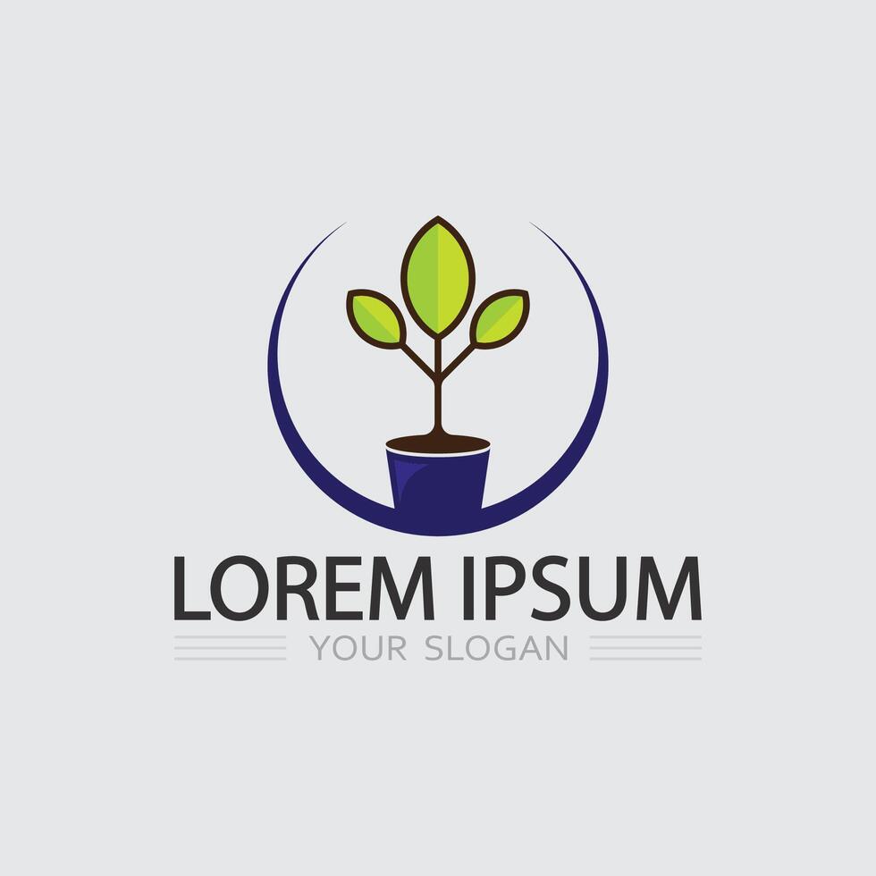 Symmetrical Leafy Tree Icon for Forest Conservation Projects and Green Branding Needs vector
