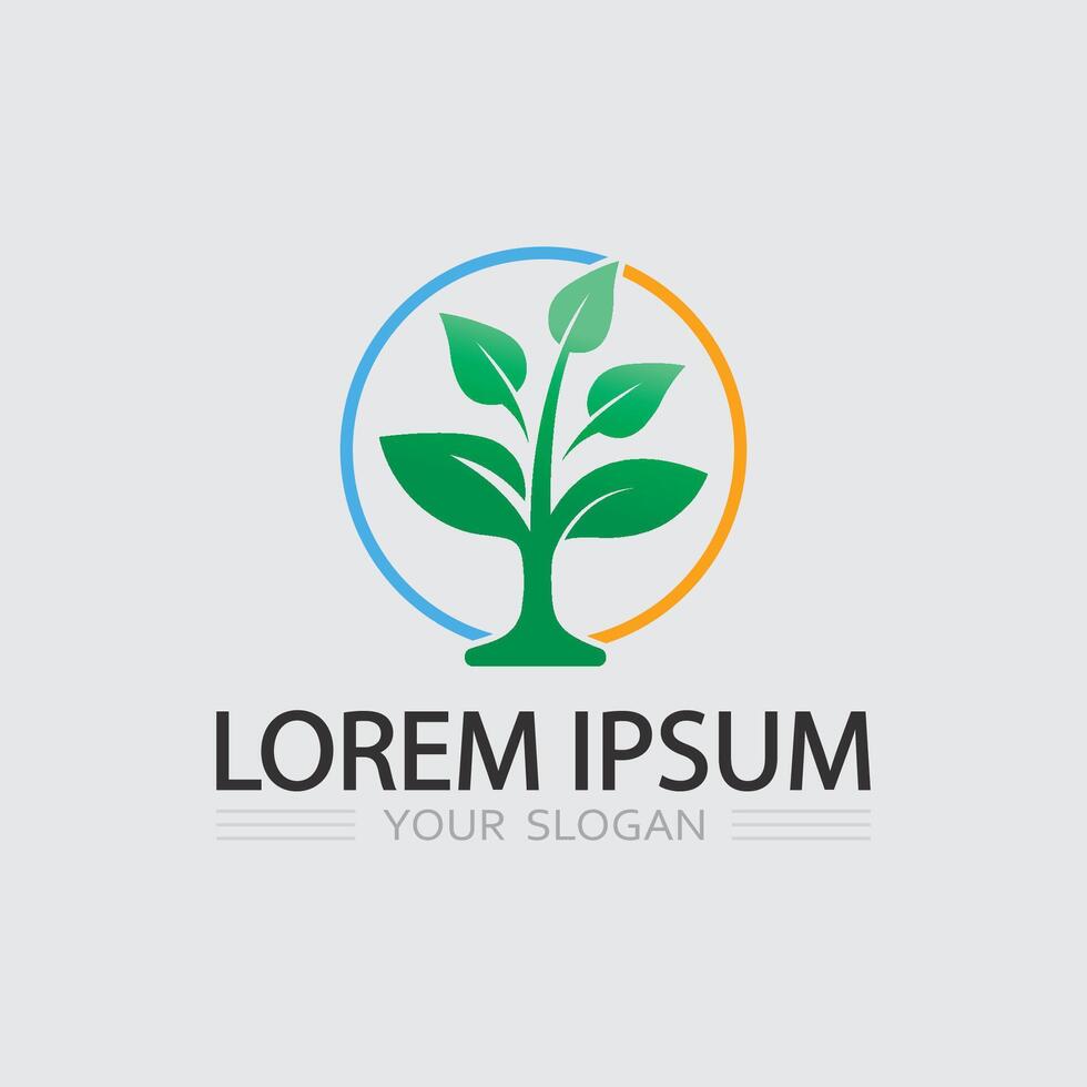 Colorful Tree Emblem with Branches for Sustainable Company Identity and Organic Branding vector
