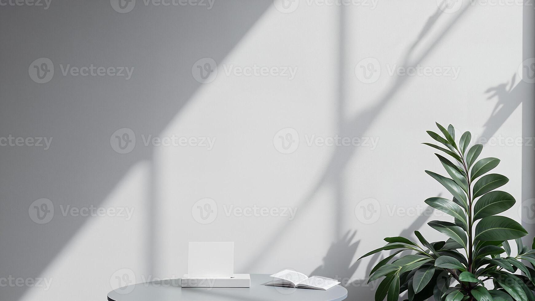 Minimal Workspace With Plant And Shadow Play,empty blank space for text photo