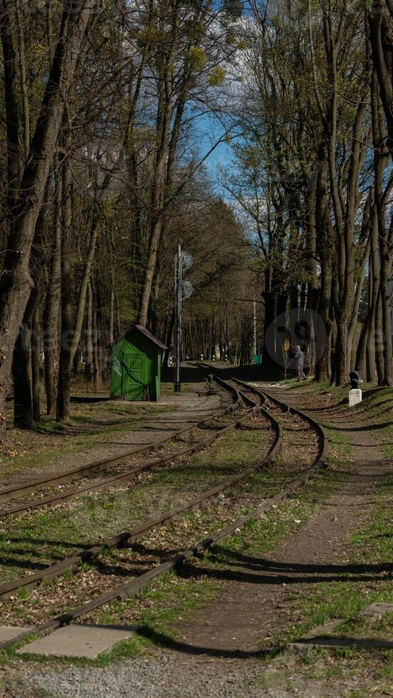 Curved Railway Tracks in Forest Park Setting photo