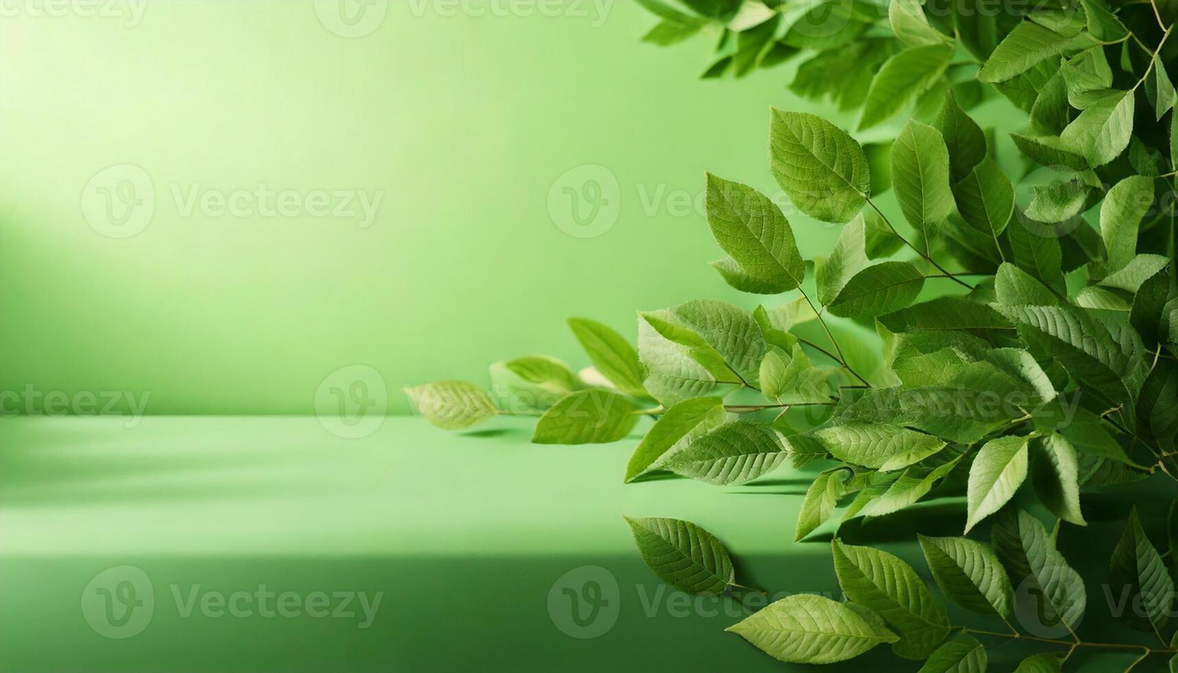 Light pastel green background with soft blur of green leaves on one side photo