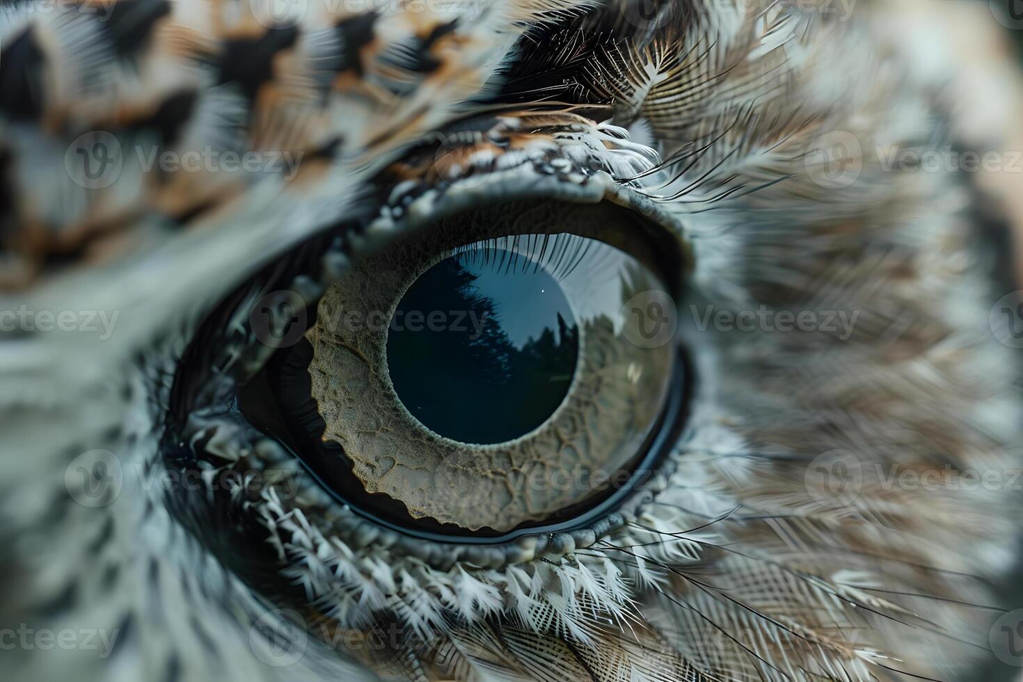 Magnificent Owl's Eye Observing the Intricate Details of Avian Vision Up Close, Revealing Nature's Wonders with Stunning Clarity and Precision. A Close-Up Look at an Owl's Eye in Exquisite Detail. photo