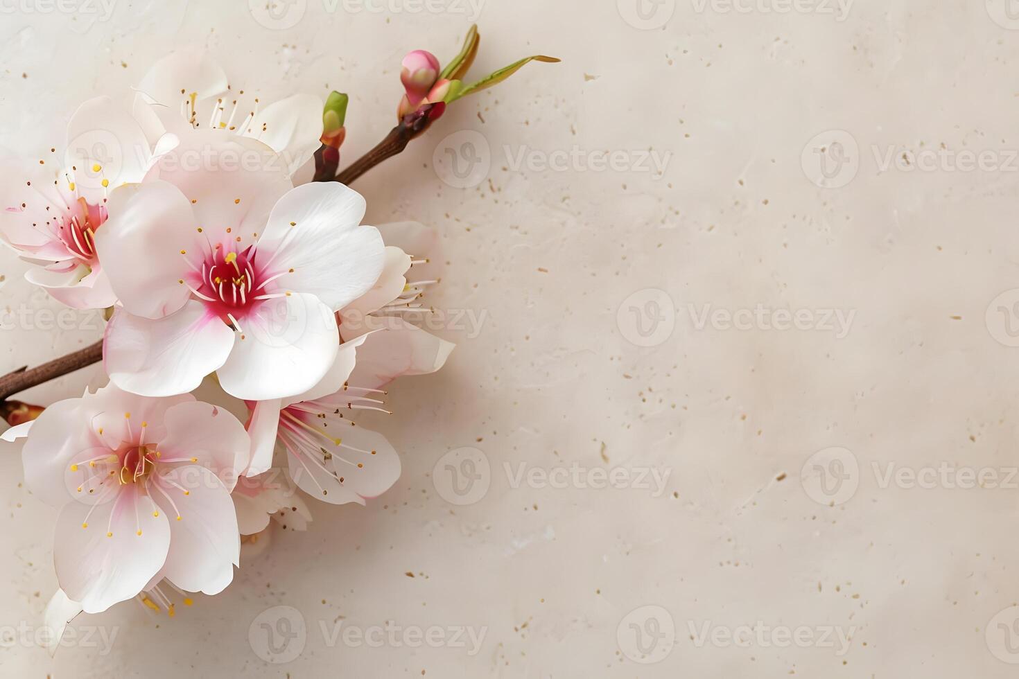 Delicate Pink Blossoms Gracefully Unfold on Branch, Exhibiting Exquisite Petals and Vibrant Stamens against Neutral Background, Showcasing Nature's Beauty in Springtime Bloom. photo