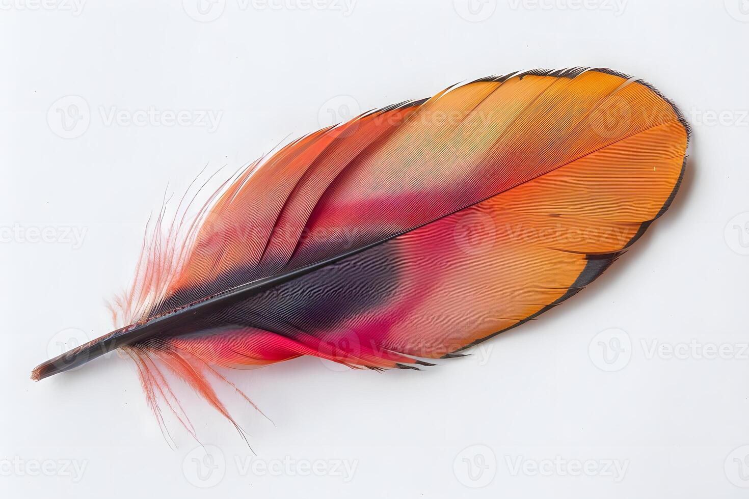 Vibrant Bird Feather Close-Up View of Intricate Texture and Striking Color Gradient, Showcasing Nature's Artistic Design with Detailed Macro Photography. photo