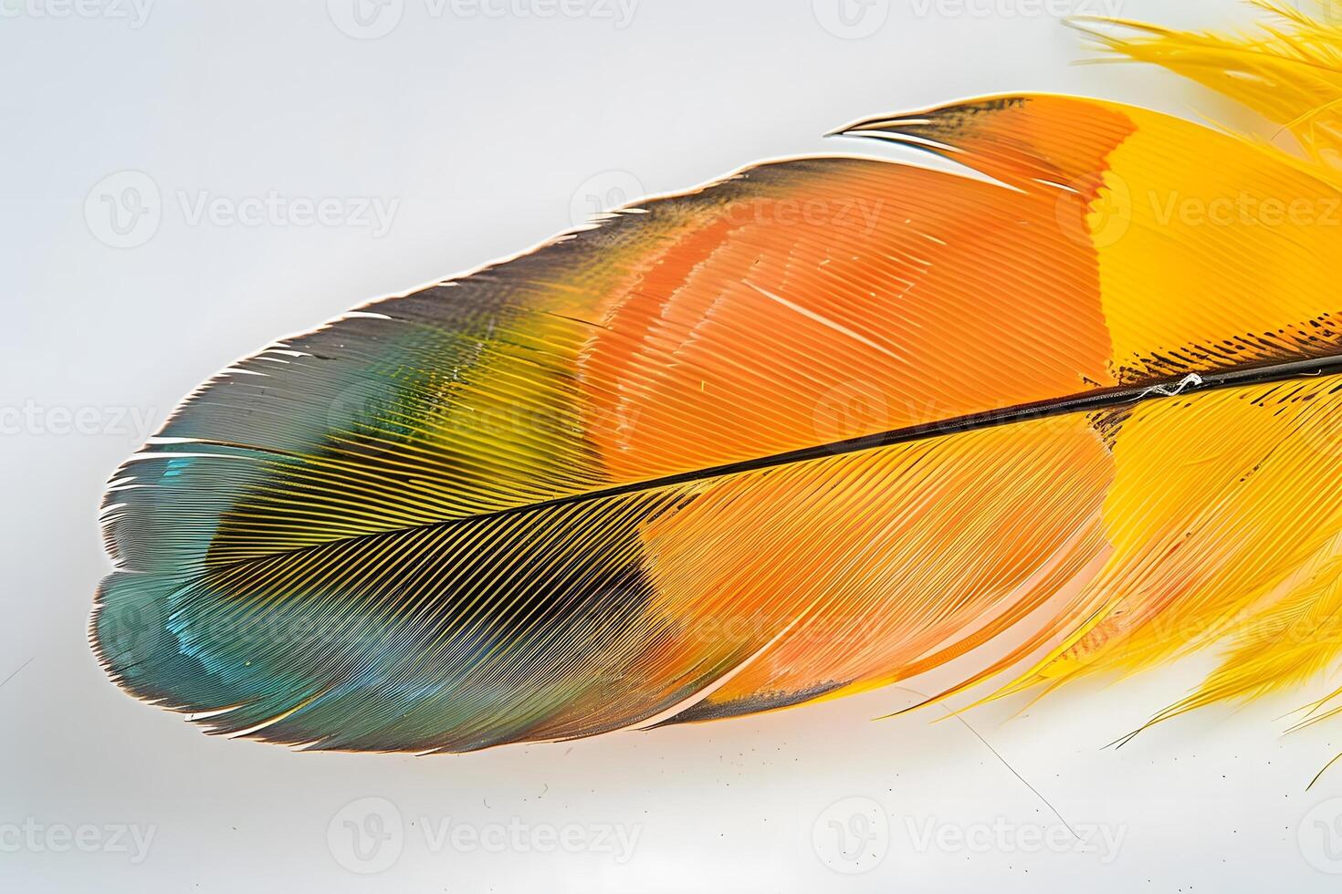 Vibrant Bird Feather Close-Up View of Colorful Plumage, Detailed Texture and Hues of Yellow, Orange, and Teal, Showcasing Natural Beauty in Stunning Detail with Exquisite Color Gradations photo