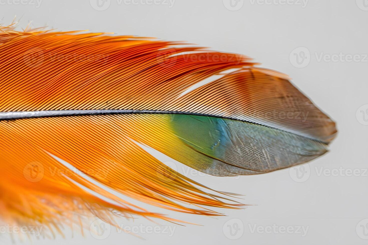 Close-Up Detailed View of a Vibrant Bird Feather, Displaying its Intricate Structure and Stunning Hues of Orange, Yellow, and Green, Capturing Nature's Artistic Masterpiece with Breathtaking Clarity. photo