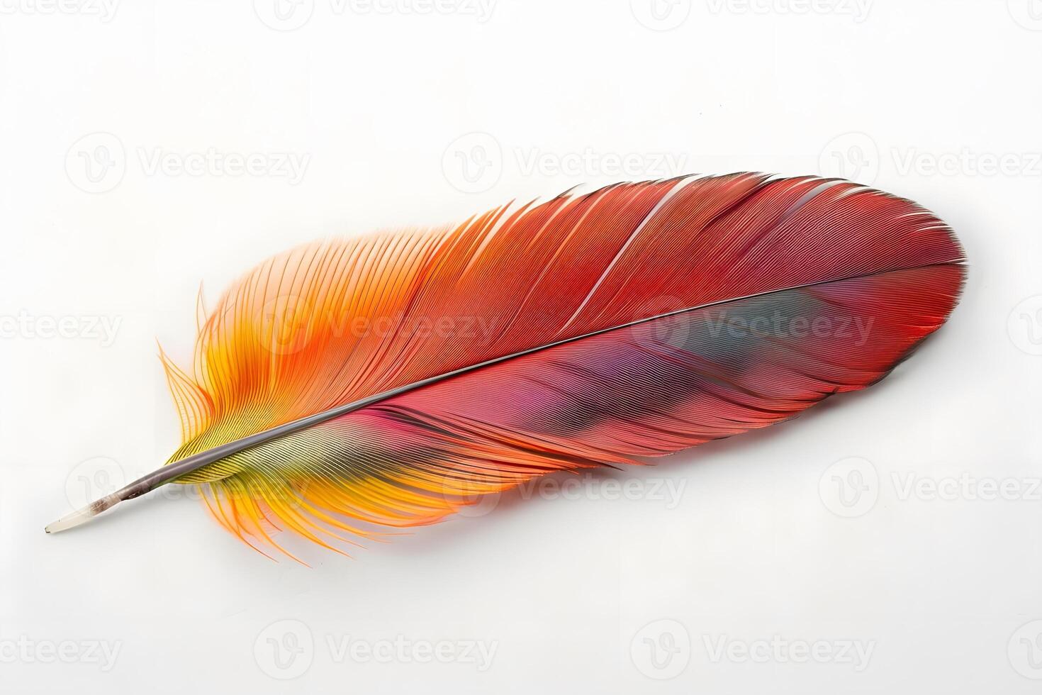 Vibrant Bird Feather Displays Exquisite Colors and Gradient Hues Against a White Background, Showcasing Intricate Details of Natural Beauty with Graceful Curvature. photo