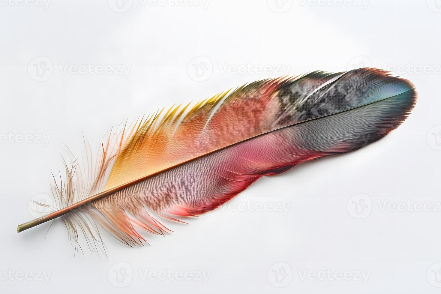 Vibrant Bird Feather Displays Exquisite Colors, Detailed Textures, and Intricate Patterns, Showcasing Nature's Artistic Mastery with Breathtaking Hues and Amazing Details. photo