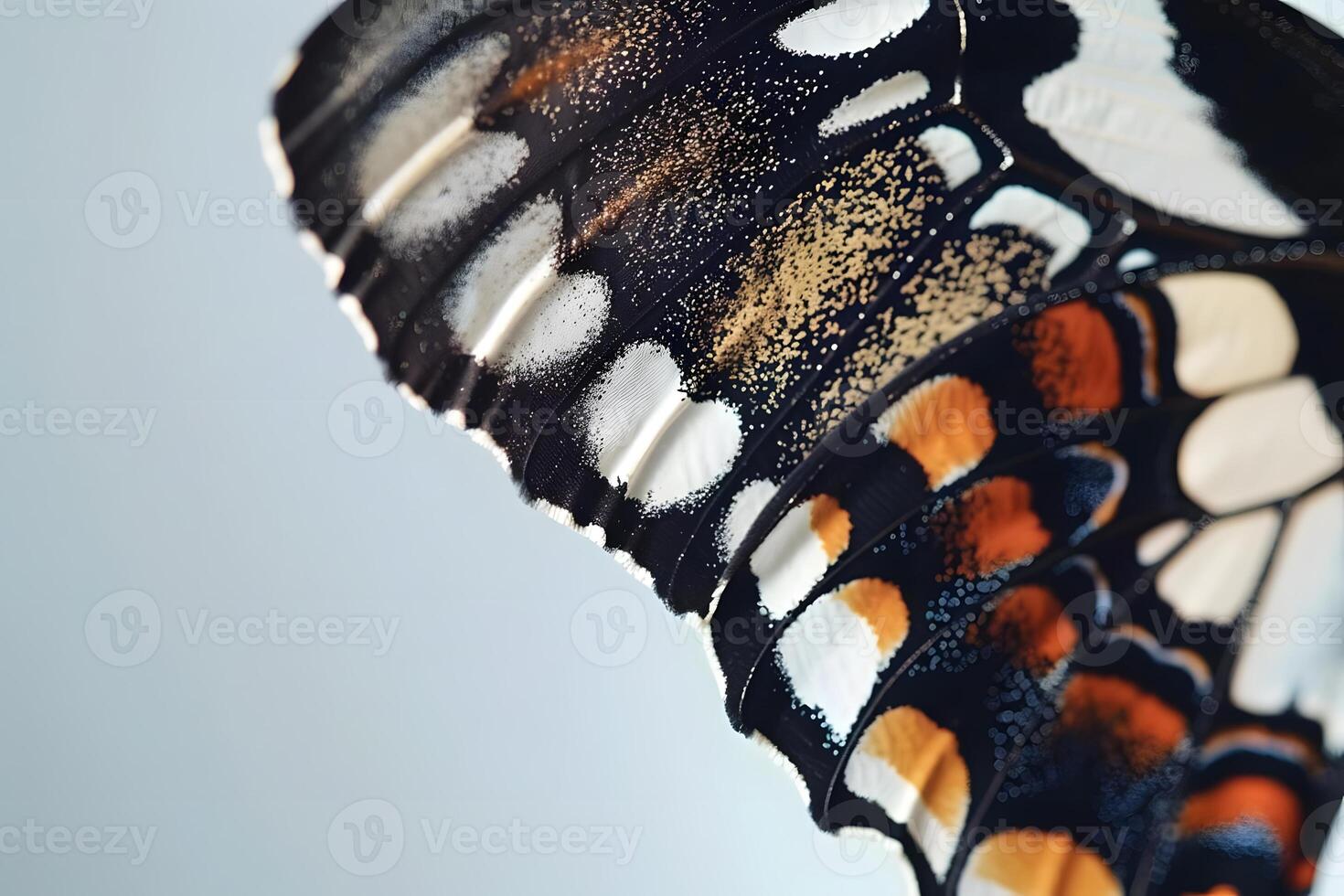 Magnificent Butterfly Wing Close-Up Intricate Patterns and Hues Displayed with Exquisite Detail, Revealing Nature's Artistic Mastery in Vibrant Colors. photo