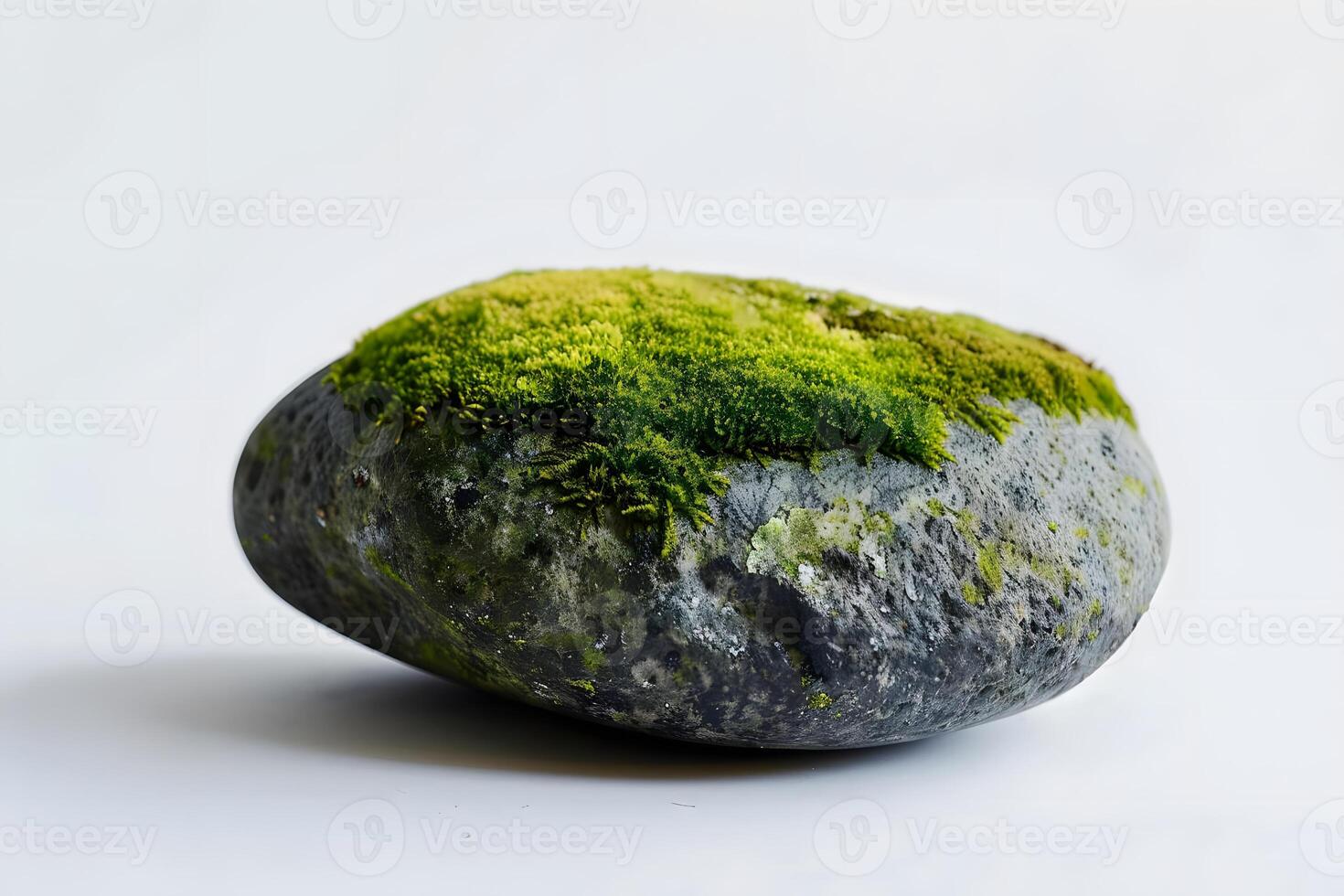 Observe the Vivid Green Moss Flourishing on a Dark Grey Rock, a Peaceful Scene of Nature's Beauty, Showcasing the Resilience of Life and the Serenity of Natural Textures. photo